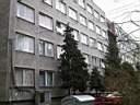 PB130060.JPG